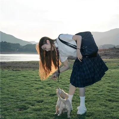 爱情与鸽子